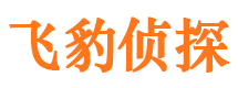 资阳外遇调查取证